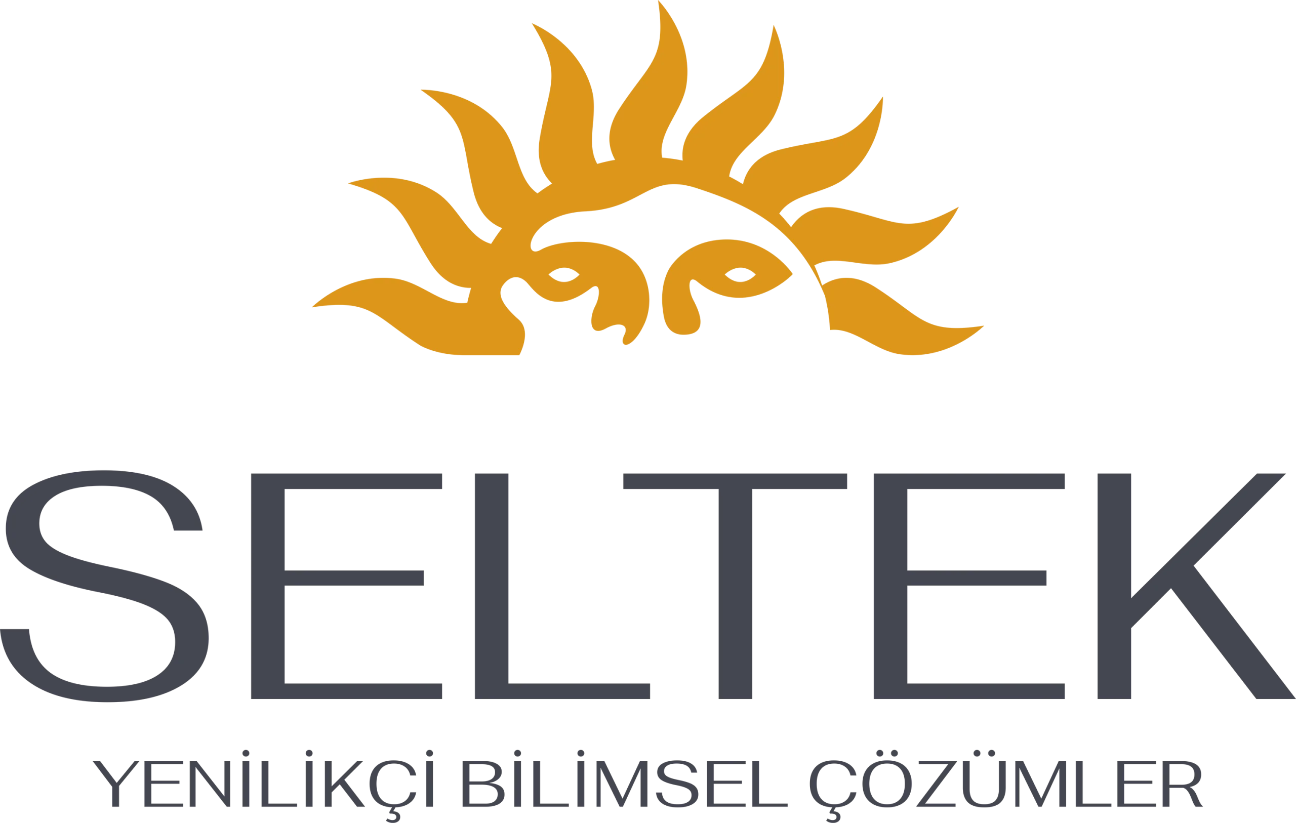 Seltek Group